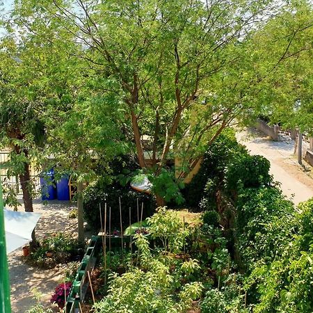 Apartmani Paron Sime 셀리네 외부 사진